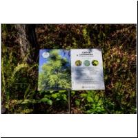 2022-04-27 Promenade du Paillon 28.jpg